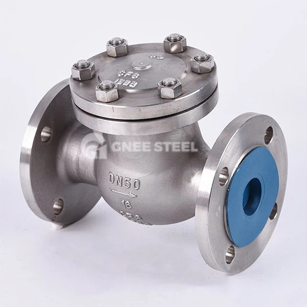 Swing check valve Swing check valve